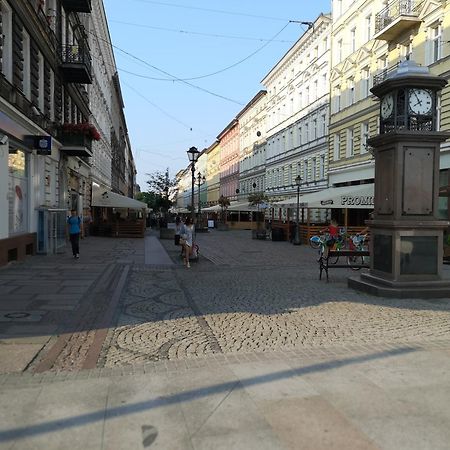 Walking Streets Penthouse! Lejlighed Stettin Eksteriør billede